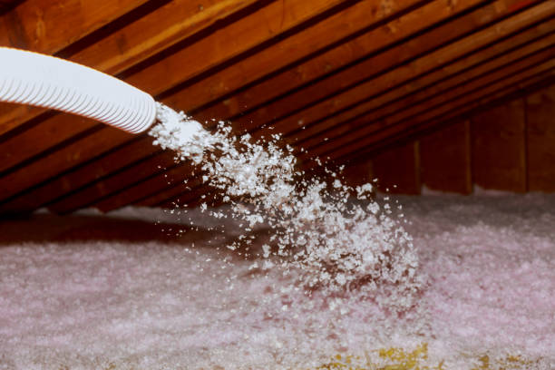 Best Specialized Insulation Services in Tichigan, WI