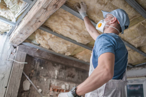 Best Fiberglass Insulation in Tichigan, WI