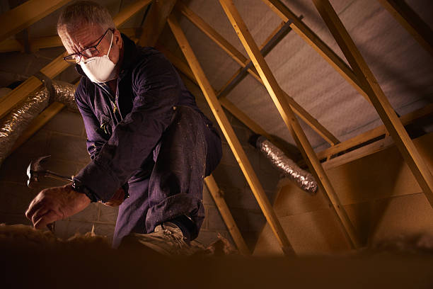 Types of Insulation We Offer in Tichigan, WI